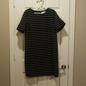 Loft Dress Size Large